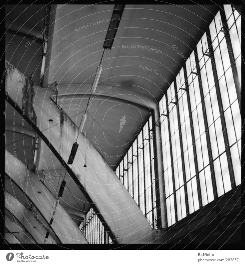 Market Hall VIII Covered market Warehouse Wall (barrier) Wall (building) Facade Above Gray Window Glazed facade Skylight Ceiling light Arch Vaulting