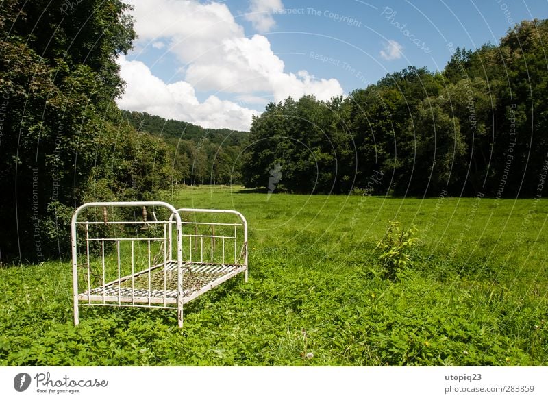 rest in peace Living or residing Bed Landscape Summer Meadow Forest Metal Relaxation Natural Calm Loneliness Horizon Luxury Nature Stagnating Decline Transience