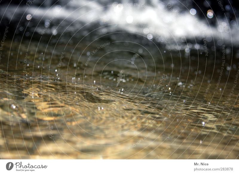 cologne water Environment Nature Pond Brook River Wet Water Surface of water Drops of water Waves Damp Rainwater Force H2O Bubbling Cold down the river Clarity