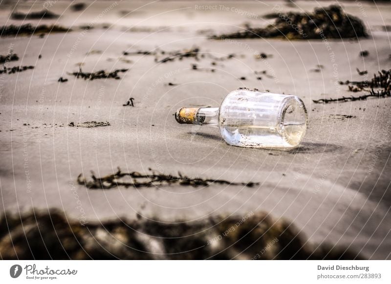 You have mail... Vacation & Travel Adventure Ocean Island Nature Sand Spring Summer Autumn Plant Coast Beach Bay Brown Yellow Black White Message in a bottle