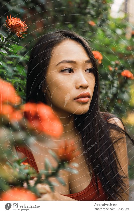 Sensual woman standing at blooming bush Woman pretty asian Youth (Young adults) Bushes Flower Orange Street Town Beautiful Portrait photograph Attractive