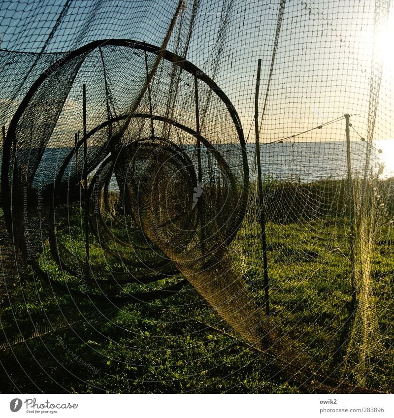 Silent days on Usedom Workplace Fishery Fishing net Fish trap Environment Nature Landscape Water Sky Horizon Climate Weather Beautiful weather Grass Baltic Sea