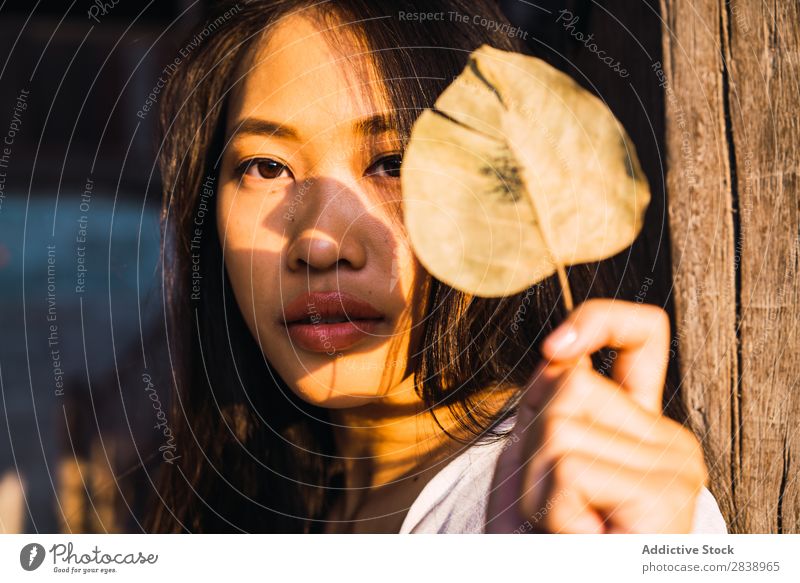 Asian woman with dry leaf Woman pretty asian Youth (Young adults) Leaf Dry Lean Wood Column East Beautiful Portrait photograph Attractive Beauty Photography