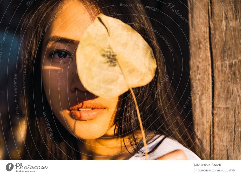 Asian woman with dry leaf Woman pretty asian Youth (Young adults) Leaf Dry Lean Wood Column East Beautiful Portrait photograph Attractive Beauty Photography