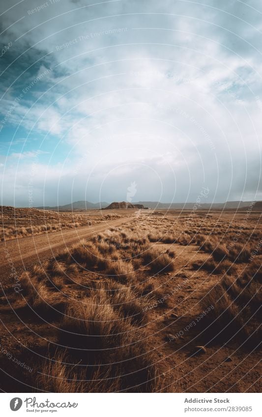 Dry road in cloudy day Street Nature Landscape Perspective Vacation & Travel Desert Landing Grass Sand Ground Environment Yellow Stone Wilderness Beautiful