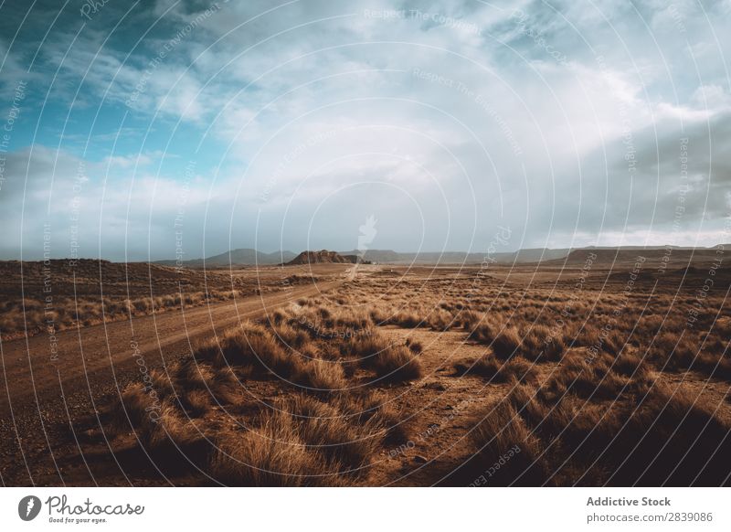 Dry road in cloudy day Street Nature Landscape Perspective Vacation & Travel Desert Landing Grass Sand Ground Environment Yellow Stone Wilderness Beautiful