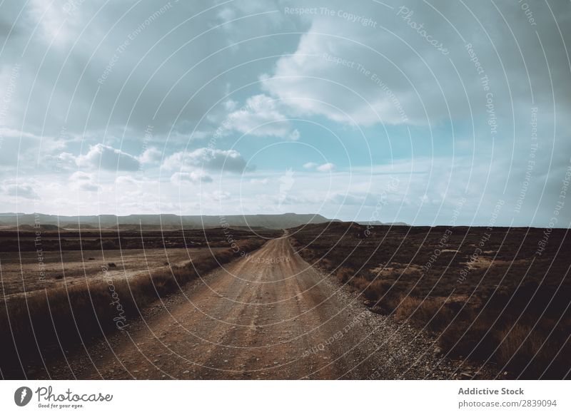 Road in dry empty field Street Nature Dry Landscape Perspective Vacation & Travel Desert Landing Grass Sand Ground Environment Yellow Stone Wilderness Beautiful