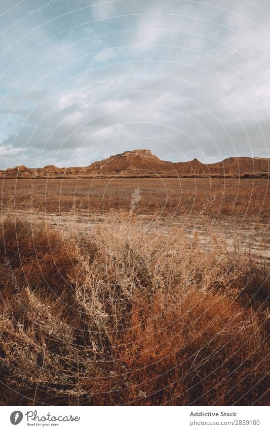 Dry plants on field Hill Mountain Nature Landscape Vacation & Travel Desert Landing Grass Sand Ground Environment Yellow Stone Wilderness Beautiful Natural