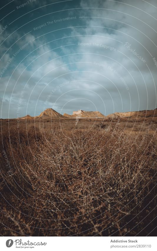 Dry plants on field Hill Mountain Nature Landscape Vacation & Travel Desert Landing Grass Sand Ground Environment Yellow Stone Wilderness Beautiful Natural