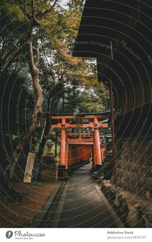 Sacral gates in front of temple Gate Temple orient Church service Architecture Ancient Tradition Landmark Red Vacation & Travel heritage oriental Culture Shrine