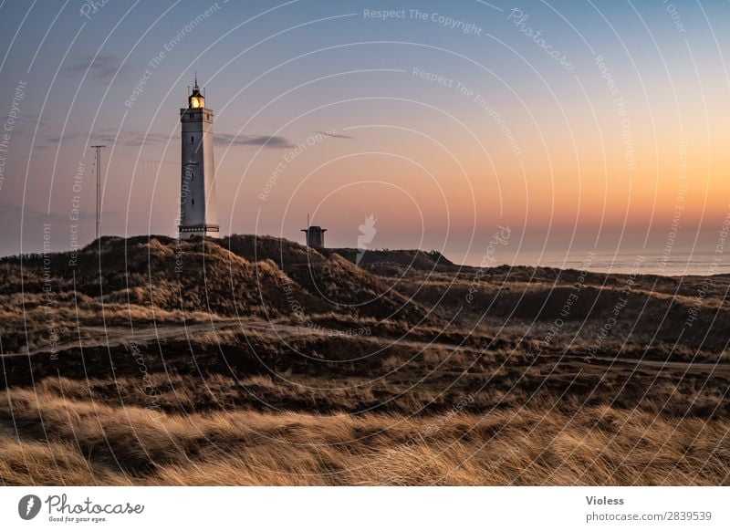 blavandshuk fyr lighthouse Lighthouse Blavands Huk Blavands Fyr Denmark Dune Marram grass Jutland North Sea Dugout Sunset Twilight Dark Atlantic Wall