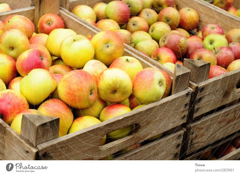 Apples in wooden boxes Food Organic produce Vegetarian diet Fresh Healthy Natural Round Juicy Sweet Red Wooden box Market day Apple harvest Autumn Crunchy