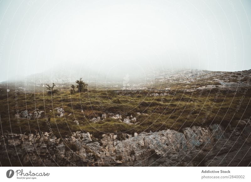 Rocky terrain in mist Fog Landscape Valley Panorama (Format) Majestic Remote Wilderness Environment Vacation & Travel scenery Canyon Clouds Nature wonderland