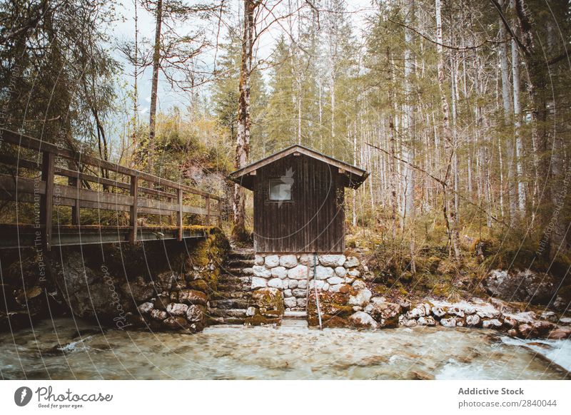 Cabin on shore of stream in woods Brook Hut Forest Autumn Landscape Park Flow Scene Loneliness Movement Speed Holiday season Nature Rural Moody Architecture