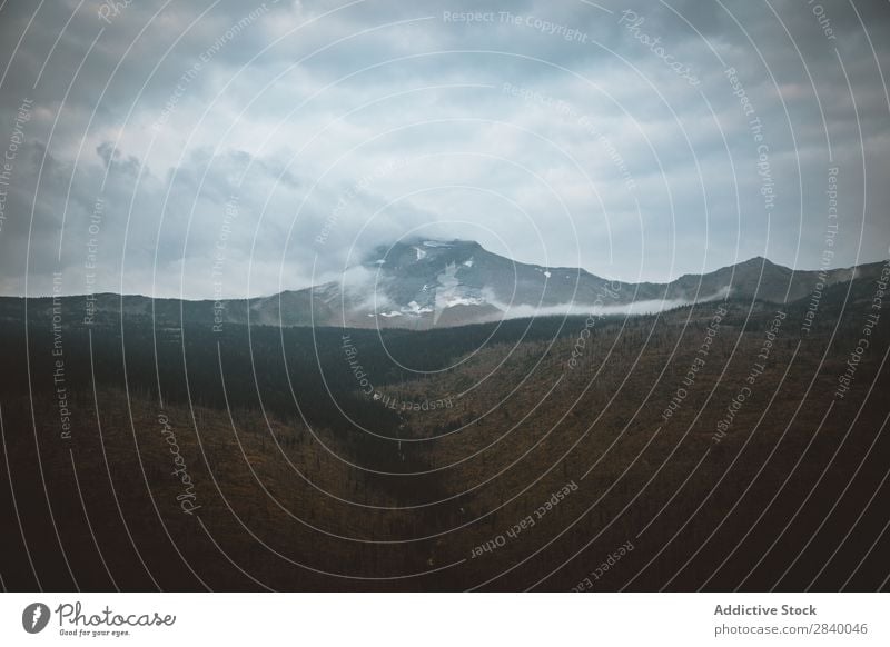 Spacious valley in mountains in fog Valley Forest Mountain Fog Panorama (Format) Haze tranquil Seasons Dramatic Serene Environment Natural Holiday season