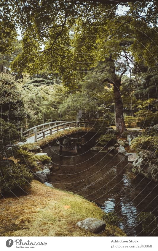 Small bridge in green woods Nature Green Water River Bridge Forest Vantage point Plant Beautiful Natural Seasons Fresh Environment Multicoloured Light Sunlight