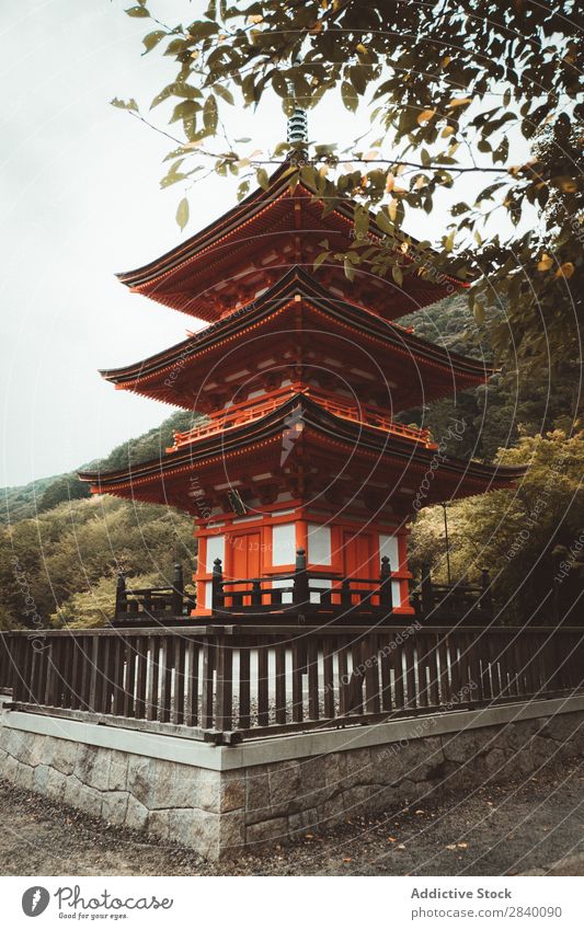 Traditional pagoda in nature Building asian Nature Green Vantage point Red Plant Beautiful Natural Asia East Tower oriental eastern Pagoda Seasons Fresh