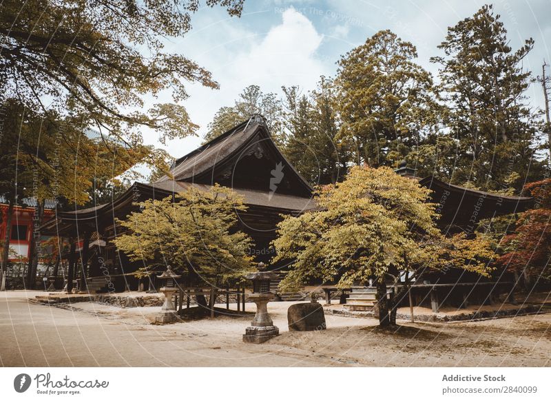 Traditional Asian building in forest Building asian Nature Green Vantage point Plant Beautiful Natural East Tower oriental eastern Pagoda Seasons Fresh