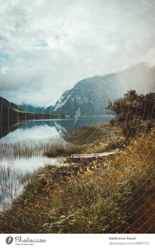 Lake shore in mountains Nature Green Vantage point Mountain Sunbeam Hill Cliff Rock Plant Beautiful Natural Seasons Fresh Environment Multicoloured Light