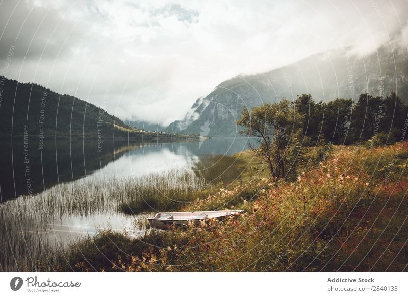 Lake shore in mountains Nature Green Vantage point Mountain Sunbeam Hill Cliff Rock Plant Beautiful Natural Seasons Fresh Environment Multicoloured Light