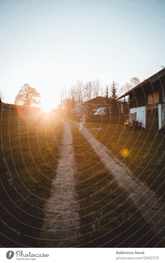 Road on field in village House (Residential Structure) Wood Tradition Home Field Green Nature Old Street Rural Landscape Architecture Wooden house Vintage