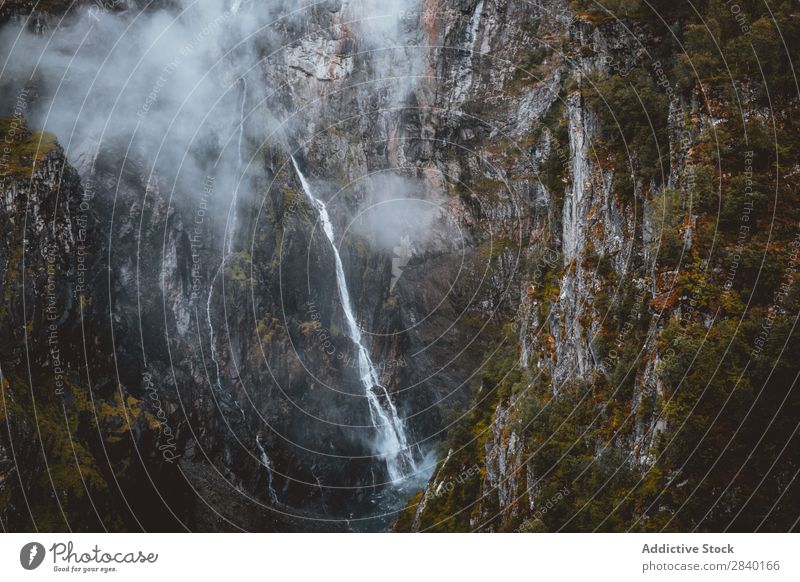 Thin waterfall in mountain Waterfall Mountain Flow Stream Nature Green Vantage point Hill Cliff Rock Plant Beautiful Natural Seasons Fresh Environment Forest