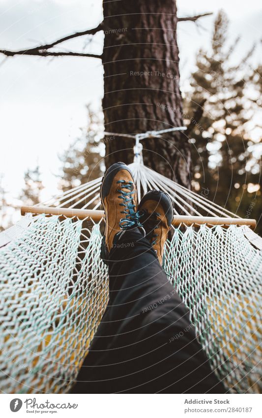 Female feet in hammock Woman Hammock Forest Relaxation Peace Tourism Morning Freedom Idyll Resting Lie (Untruth) coniferous Tree enjoying Feet tranquil