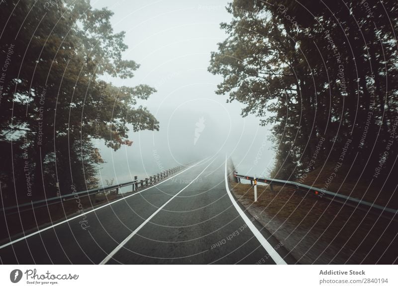 Road in misty forest Street Forest Fog Weather darkness Mystery Nature Autumn Landscape Magic Seasons Exterior shot Traveling roadway Dark Haze Lanes & trails