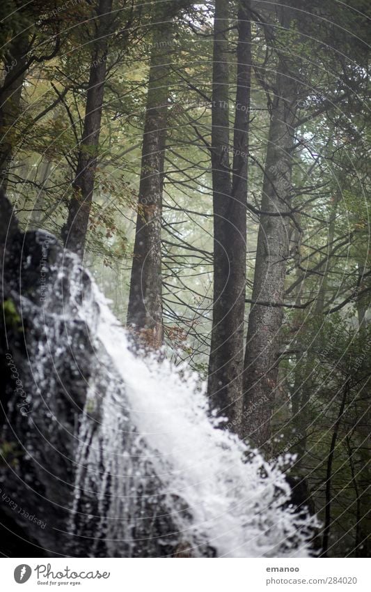 where the water falls. Vacation & Travel Mountain Hiking Environment Nature Landscape Plant Water Autumn Climate Rain Tree Brook River Waterfall Movement