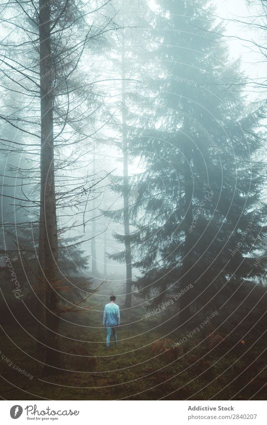 Man walking through foggy forest Forest Walking Fog Nature Landscape Autumn Human being Mystery Seasons Fear Loneliness Spooky Vantage point Gloomy Scene Wild