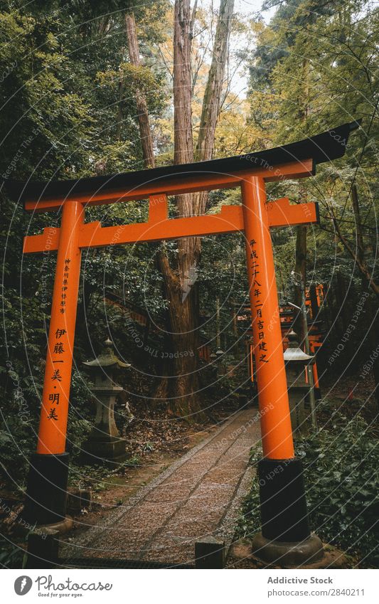 Japanese arches and path Lanes & trails Rock arch Forest Nature Landscape Asia Architecture Vacation & Travel Sightseeing Park Landmark way Gate Street Deserted