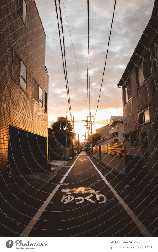 Street in Japanese town Town Sunset Architecture Vacation & Travel Tourism asian Skyline Vantage point Light Landscape residential House (Residential Structure)