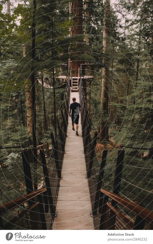 Man walking on bridge on trees Bridge Hanging Tree Adventure Construction above ground Park Suspension Green Sports Hiking Nature Forest Vacation & Travel