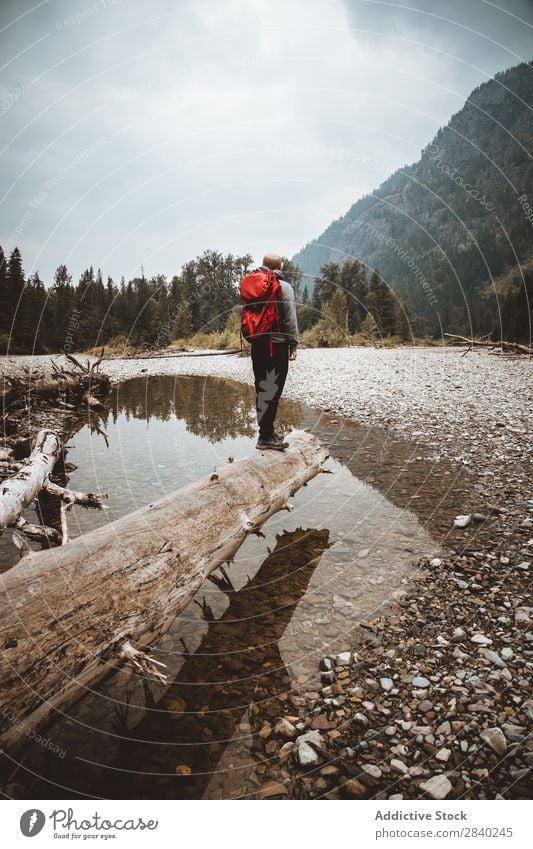 Man with backpack on trunk Mountain Backpacking Landscape trekking Posture Adventurer Tourism Weather Seasons Forest Sports Vacation & Travel hiker Tree trunk