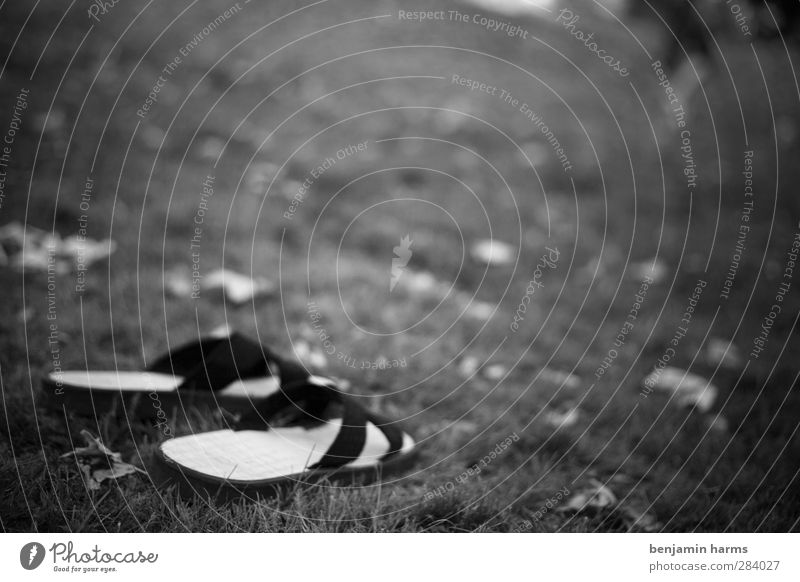 that's where he's going... Leaf Park Meadow Transience Goodbye Footwear Sandal Summer Black & white photo Exterior shot Deserted Copy Space right Copy Space top