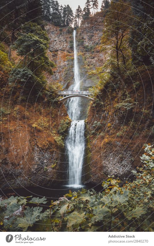 Multnomah Falls, Columbia, USA columbia Landscape scenery Water Canyon River Beautiful Waterfall Oregon Forest Green Nature cascade falls Beauty Photography