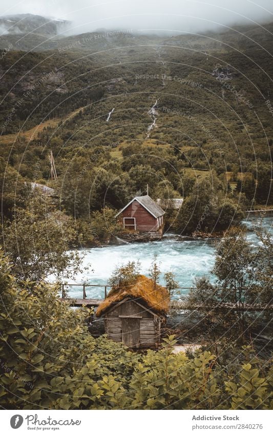 Water stream in mountains River Speed Mountain Splashing Stream cascade Movement Forest coniferous Environment Rock Haze Fresh Extreme Adventure Wilderness