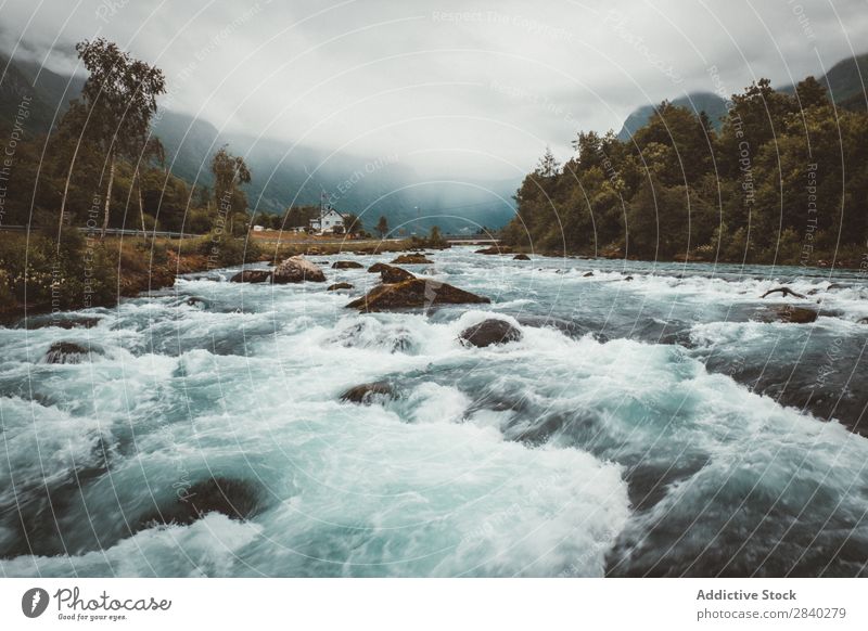 Fast mountain river in gloomy day River Speed Mountain Splashing Stream cascade Environment Rock Haze Fresh Extreme Movement Adventure Wilderness Nature