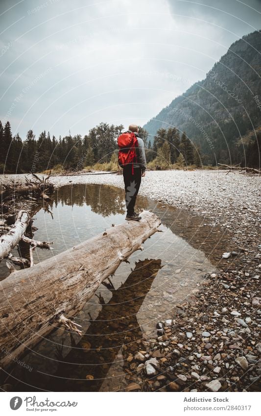 Traveler with backpack posing on landscape Man trekking Mountain Landscape Hiking Dream Meditative Posture Wilderness Adventurer Tree trunk Tourism Weather