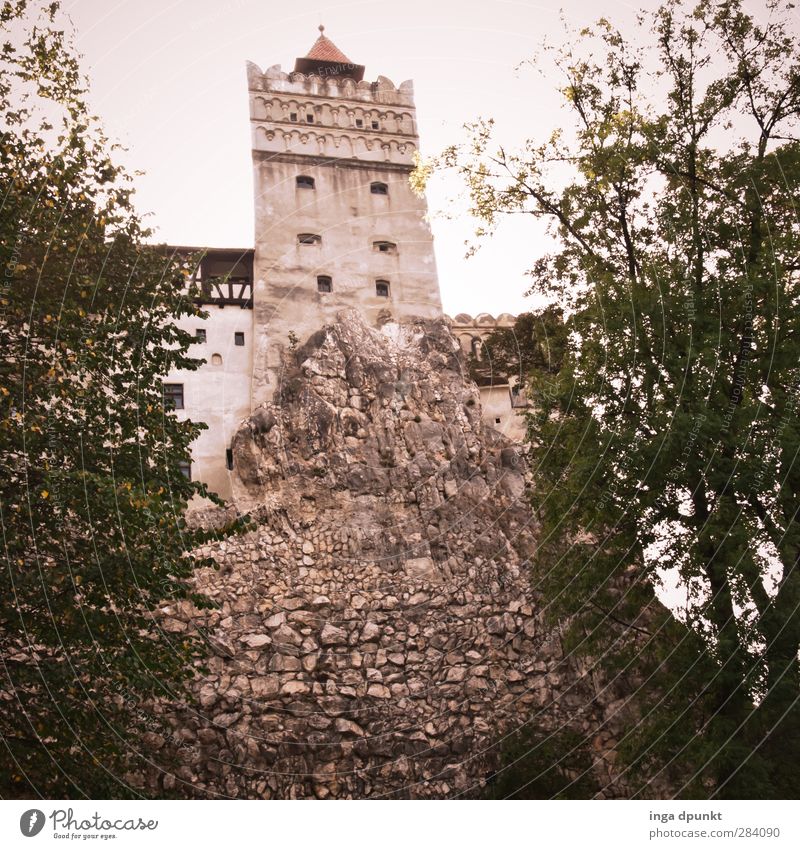 Bran Castle Siebenbürgen Romania Dracula Vampire Manmade structures Building Architecture Tourist Attraction Old Exceptional Threat Colour photo Exterior shot