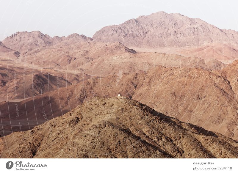 Desert play of colours Vacation & Travel Tourism Far-off places Safari Environment Nature Landscape Sand Climate Warmth Drought Rock Mountain Mount Sinai