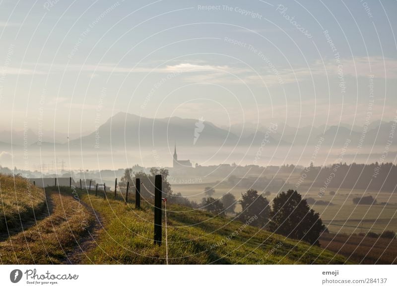 autumn morning Environment Nature Landscape Sky Autumn Beautiful weather Fog Field Authentic Natural Village Colour photo Exterior shot Deserted Copy Space top