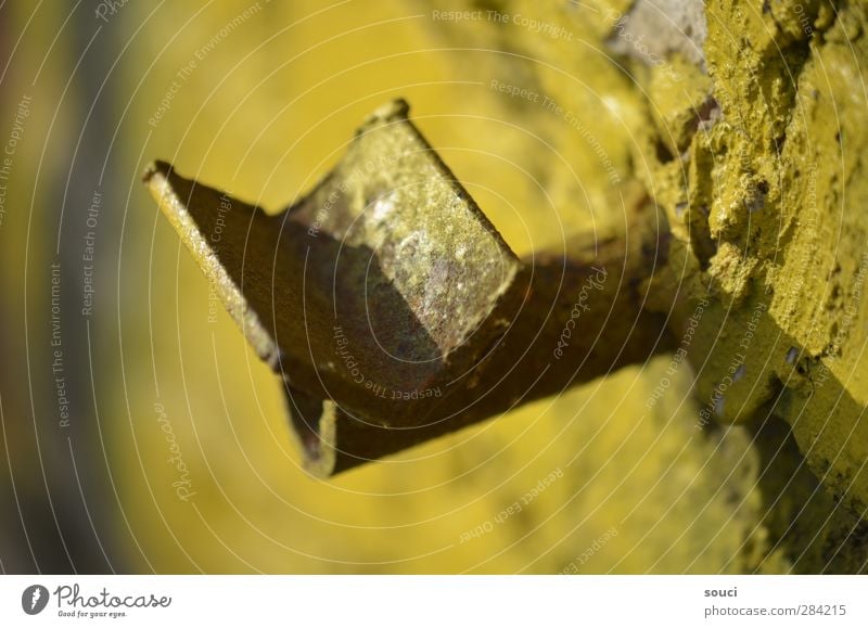 Yellow on the wall Autumn Building Wall (barrier) Wall (building) Stone Concrete Steel Rust Brown Town Colour photo Subdued colour Exterior shot