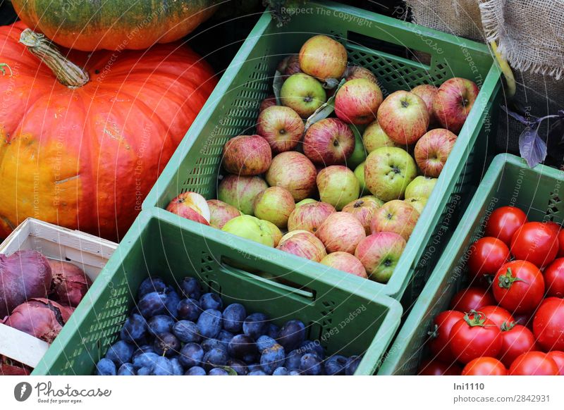 weekly market Food Vegetable Fruit Apple Nutrition Blue Multicoloured Yellow Green Orange Pink Red Vegetable market Greengrocer Box of fruit