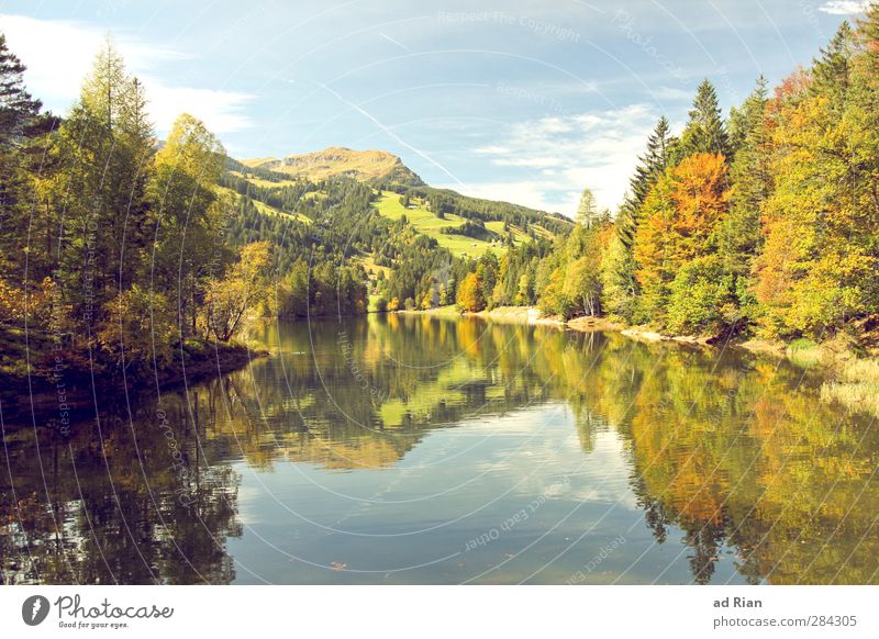 some kitsch has to be today... Mountain Nature Landscape Water Autumn Beautiful weather Tree Grass Bushes Foliage plant Forest Hill Rock Alps Peak Beach Island