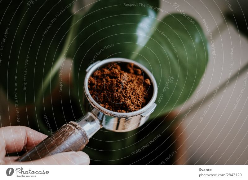 Closeup of Portafilter To have a coffee Hot drink Coffee Latte macchiato Espresso Lifestyle Berlin Fresh Caffeine Ground coffee Morning Preparing Hand Hold