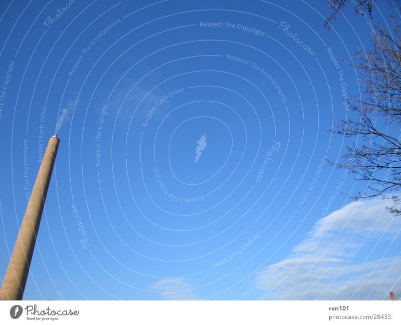 chimney Tree Clouds Brick Architecture Chimney Branch Sky Smoke Blue Worm's-eye view Deserted Exterior shot Colour photo Veil of cloud Beautiful weather Tall