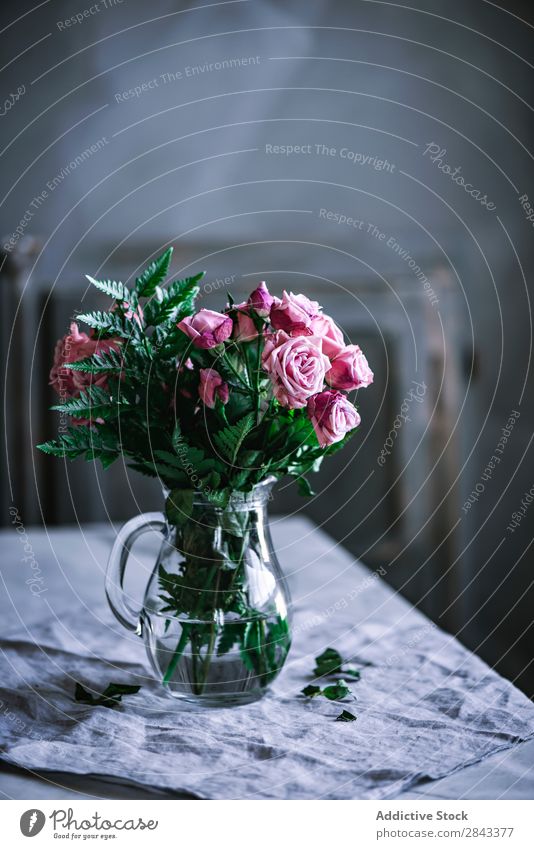 Bunch of pink roses on table flores Studio shot luz rosas casa decoración en casa jarrón Rose Pink Beautiful Flower Glass Jug Nature Love Beauty Photography