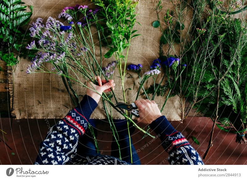 Crop hands cutting flowers Hand Flower Bouquet Beautiful Nature Floral Florist Blooming Plant composition Human being bunch pruner Linen Cloth decor