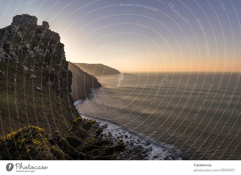 Dusk sets in on the cliffs Beach Ocean Mountain Hiking Nature Landscape Elements Water Sky Horizon Winter Beautiful weather Bushes Broom blossom Rock Waves